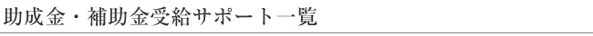 助成金・補助金受給サポート一覧