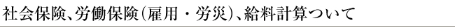 社会保険、労働保険（雇用・労災）、給料計算ついて